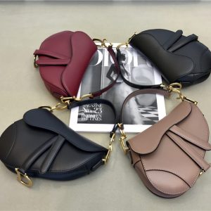 Christian Dior Mini Saddle bag (Varied Colors)