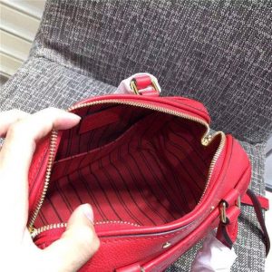 Louis Vuitton Speedy Bandouliere 20 (Varied Colors)