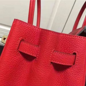 Hermes Birkin 35cm (Varied Colors) Gold H/W