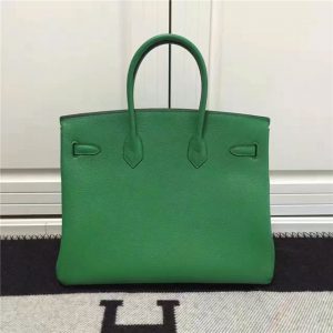 Hermes Birkin 35cm (Varied Colors) Gold H/W