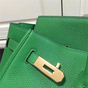 Hermes Birkin 35cm (Varied Colors) Gold H/W