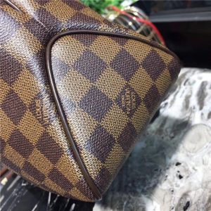 Louis Vuitton Replica Delightful Damier Ebene PM Bag