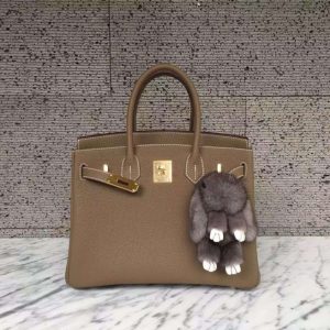 Hermes Birkin 35cm (Varied Colors) Gold H/W