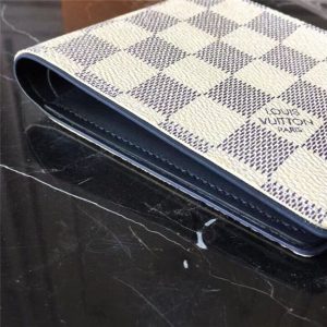 Louis Vuitton Multiple Wallet