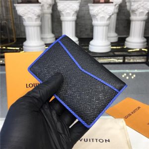 Louis Vuitton Pocket Organizer Taiga Leather