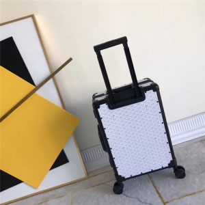 Goyard HORIZON Luggage 55 (Varied Colors)