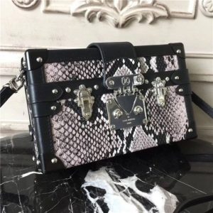 Louis Vuitton Petite Malle Python Skin