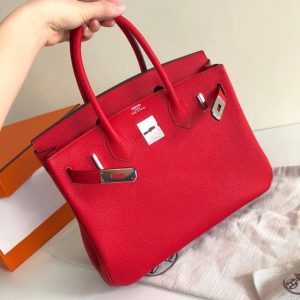 Hermes Birkin 35cm (Varied Colors) Silver H/W