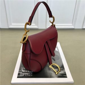 Christian Dior Mini Saddle bag (Varied Colors)