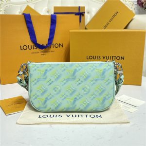 Louis Vuitton Multi Pochette Accessoires