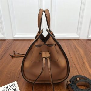 Loewe Mini Hammock Dw Bag (Varied Colors)