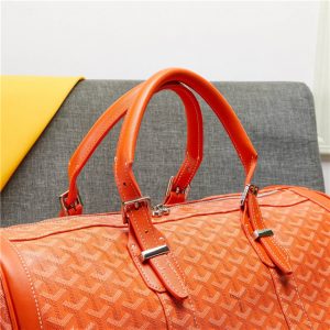 Goyard Travelling bag (Varied Colors)