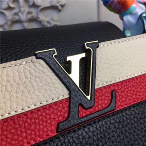 Louis Vuitton Capucines PM (Varied Colors)