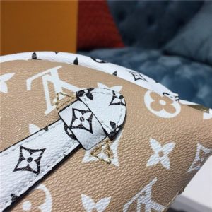 Louis Vuitton Bumbag Khaki