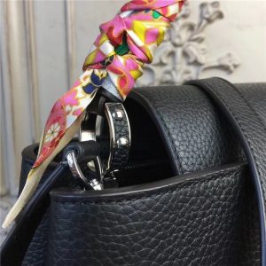 Louis Vuitton Capucines PM (Varied Colors)