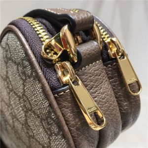 Gucci Ophidia mini GG bag