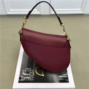 Christian Dior Mini Saddle bag (Varied Colors)