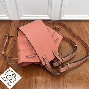 Loewe Mini Hammock Dw Bag (Varied Colors)