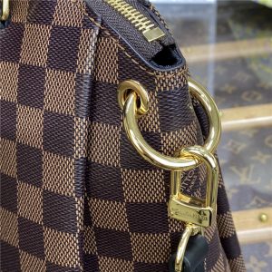 Louis Vuitton Damier Ebene Odeon Tote PM