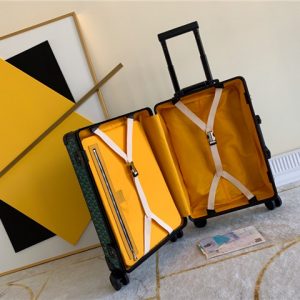 Goyard HORIZON Luggage 55 (Varied Colors)