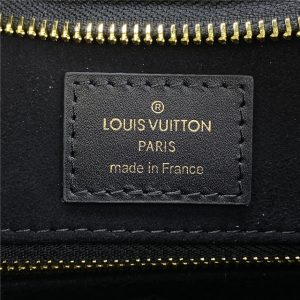 Louis Vuitton CarryAll PM (Varied Colors)