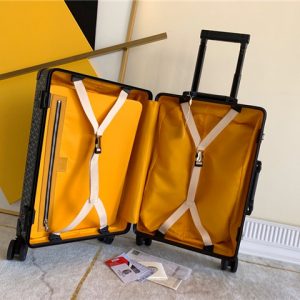 Goyard HORIZON Luggage 55 (Varied Colors)