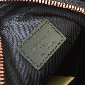 Louis Vuitton Danube PM Monogram Upside Down Canvas