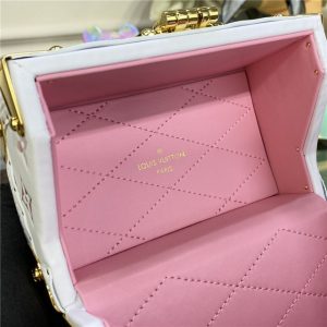 Louis Vuitton Camera Box