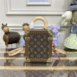 Louis Vuitton Camera Box Monogram