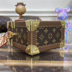 Louis Vuitton Camera Box Monogram