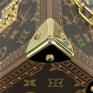 Louis Vuitton Camera Box Monogram