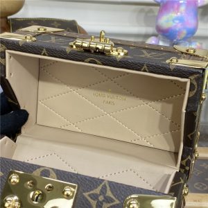 Louis Vuitton Camera Box Monogram