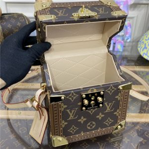 Louis Vuitton Camera Box Monogram