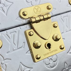 Louis Vuitton Camera Box