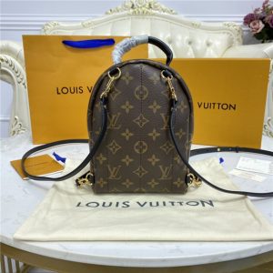 Louis Vuitton Palm Springs Mini