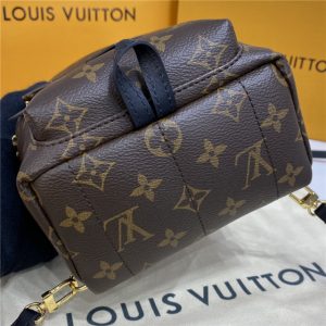 Louis Vuitton Palm Springs Mini