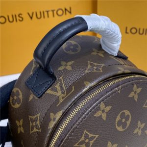 Louis Vuitton Palm Springs Mini