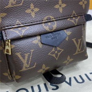 Louis Vuitton Palm Springs Mini