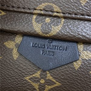 Louis Vuitton Palm Springs Mini