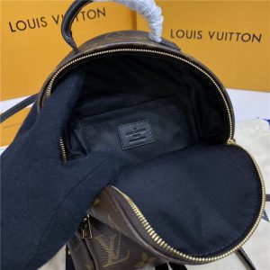 Louis Vuitton Palm Springs Mini