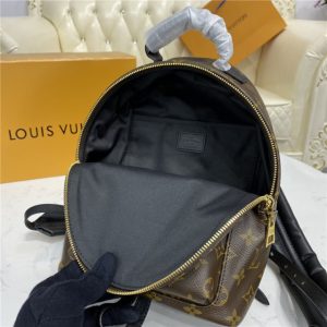 Louis Vuitton Palm Springs PM Backpack