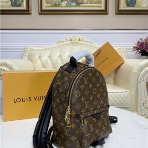 Louis Vuitton Palm Springs PM Backpack