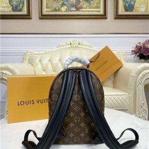 Louis Vuitton Palm Springs PM Backpack