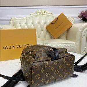 Louis Vuitton Palm Springs PM Backpack