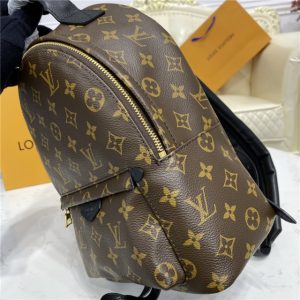 Louis Vuitton Palm Springs PM Backpack