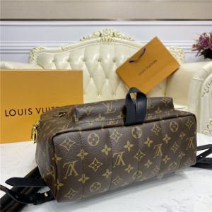 Louis Vuitton Palm Springs MM Backpack