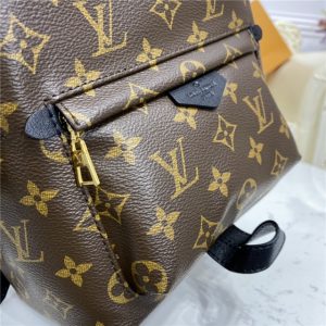 Louis Vuitton Palm Springs PM Backpack