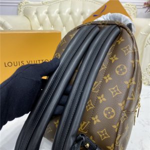 Louis Vuitton Palm Springs PM Backpack