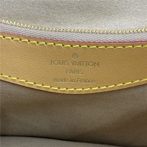 Louis Vuitton Diane Monogram Cozygram